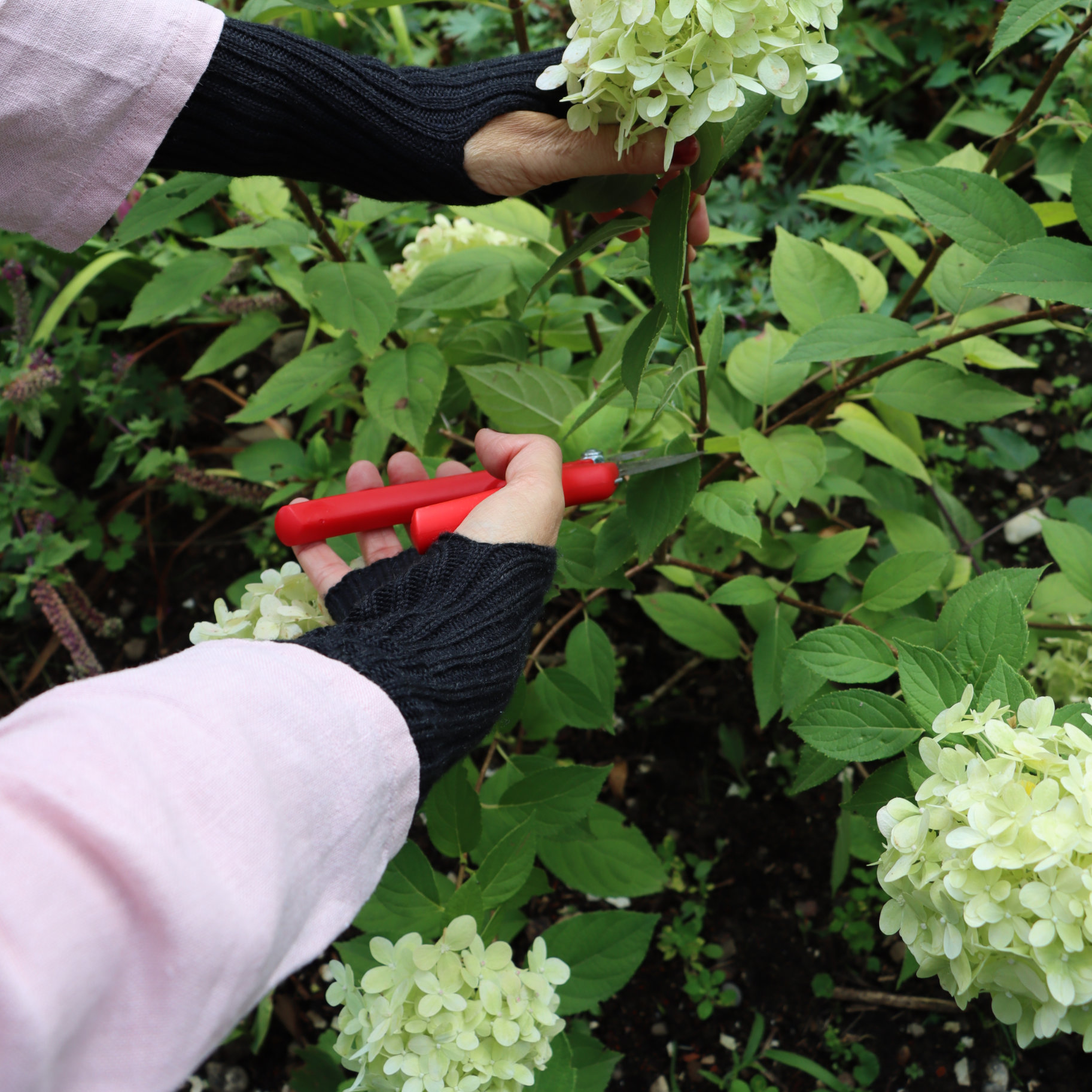 Handstulpen in diversen Farben – Bild 5