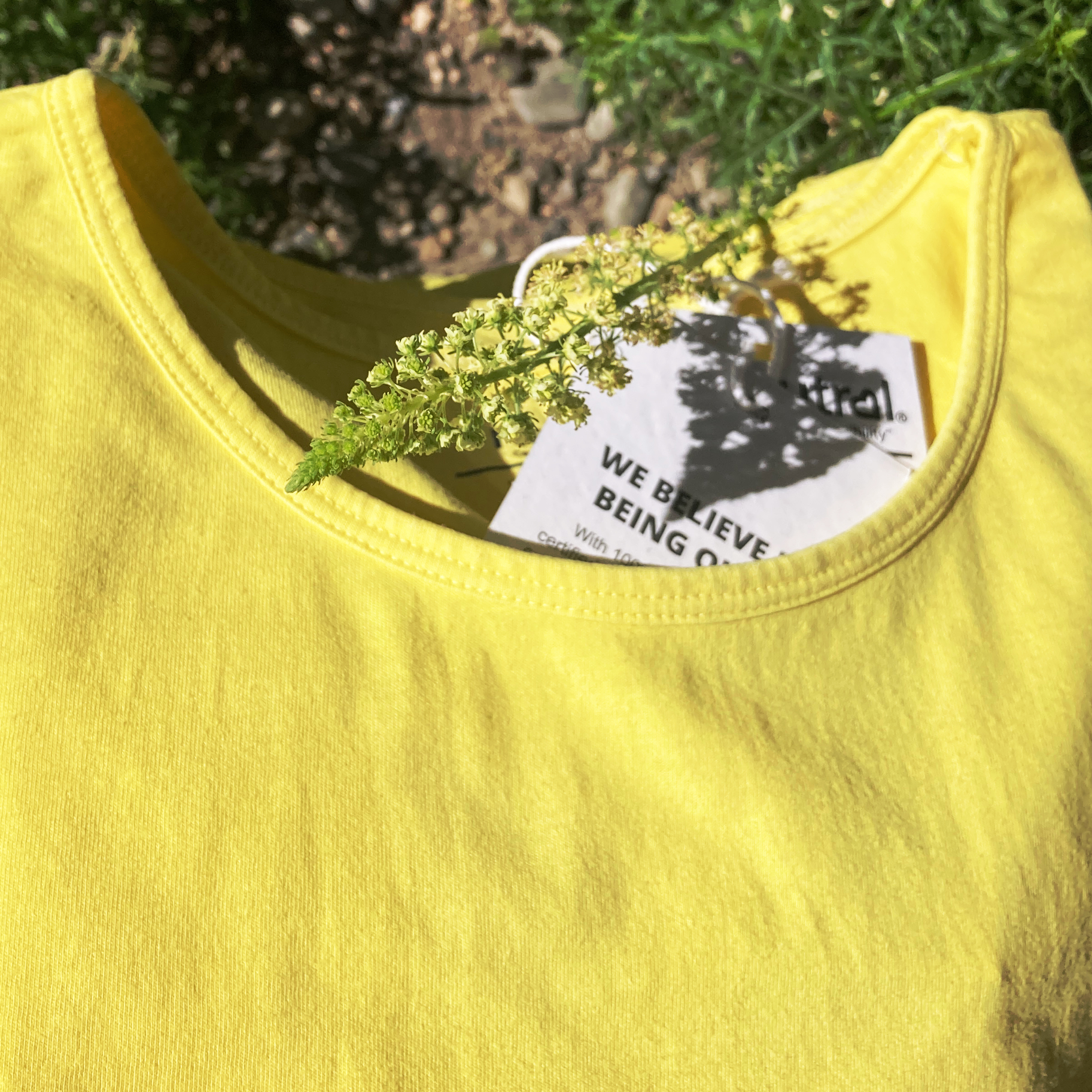 T-Shirt aus Biobaumwolle gefärbt mit Naturfarbe – Bild 3